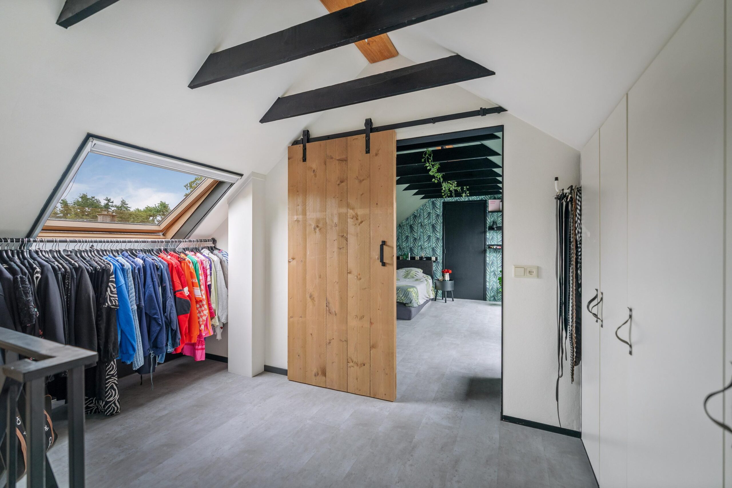 293512403.jpg